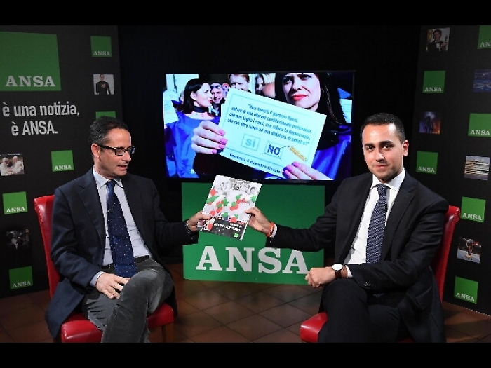 Di Maio, caso Palermo non incide su voto