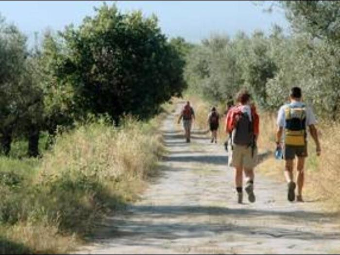 Edizione digitale guida a Via Francigena