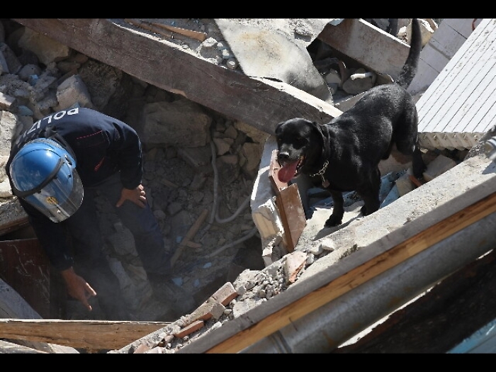 Sisma:&egrave; stata dimessa Giorgia,la bimba salvata dalle macerie