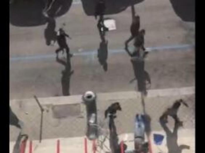 Daspo da tre a otto anni per tifosi arrestati a Palermo