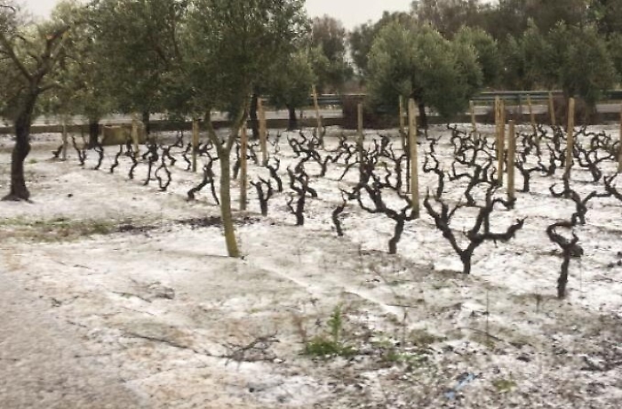 Benefici Inps ad agricoltori colpiti da calamit&agrave; in Sicilia