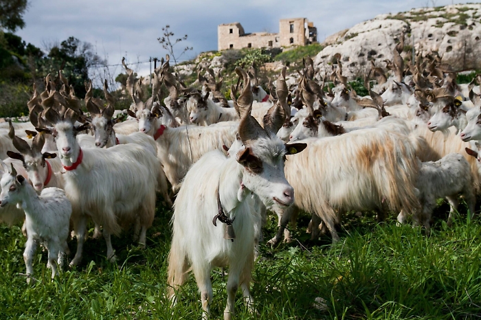 Ad Aragona, c'era una volta la domenica