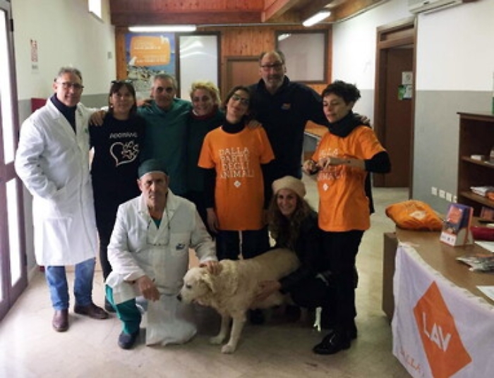 Undici microchip, 51 sterilizzazioni e 15 visite e il censimento delle colonie feline