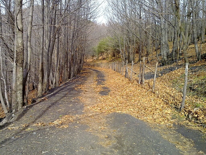 Monte Salto del cane
