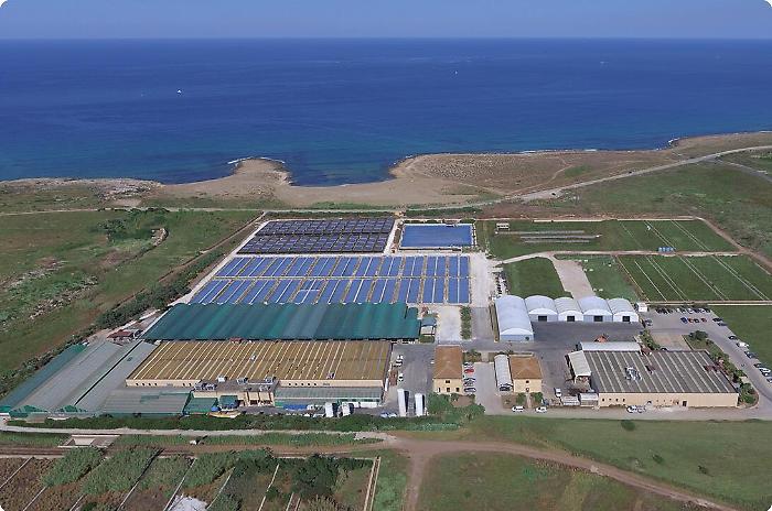 Marzamemi, azienda ittica costretta a chiudere per danni maltempo