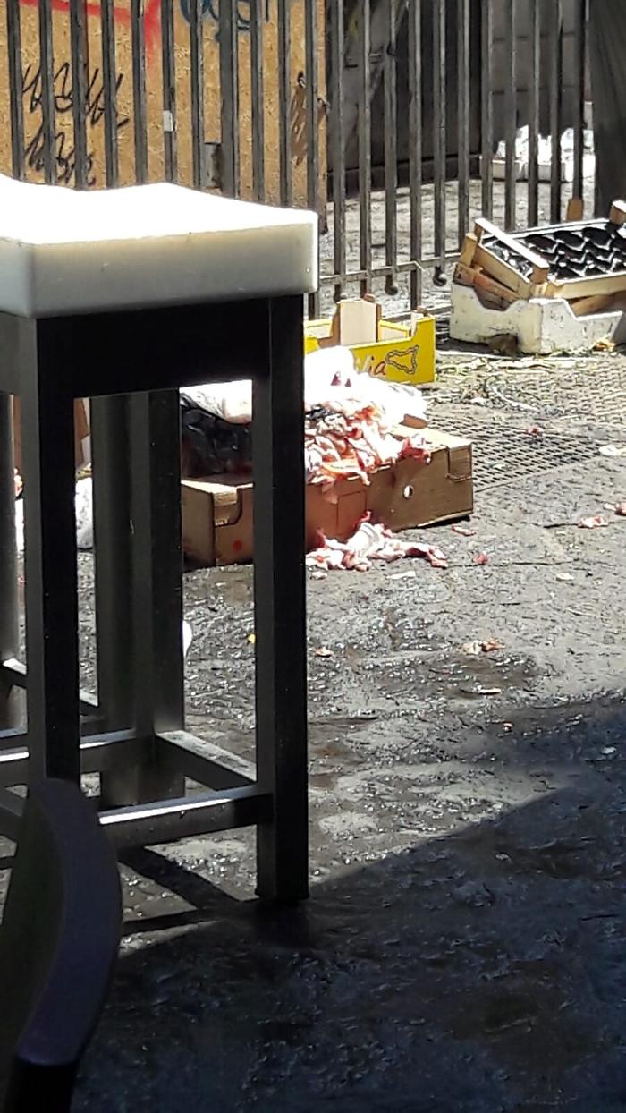 Catania: alla pescheria turisti&amp;rifiuti!