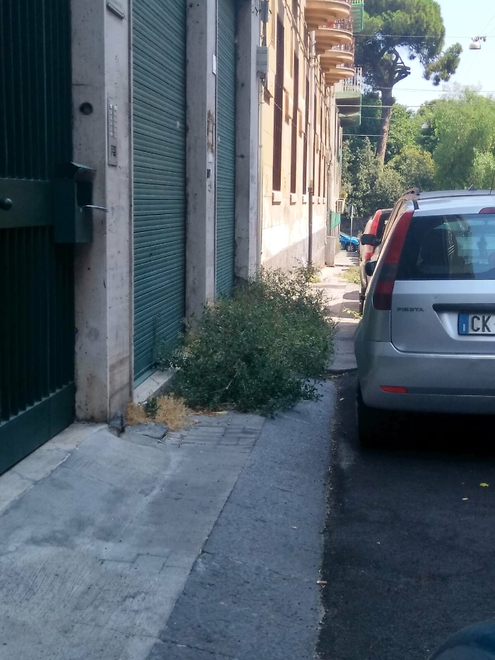 Catania: "La Citt&agrave; &egrave; una Giungla impraticabile"