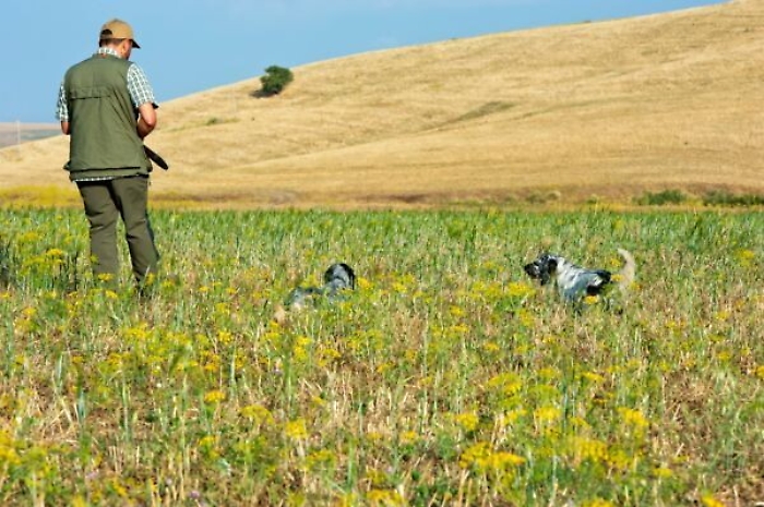 1567093465245_1619200253670-1