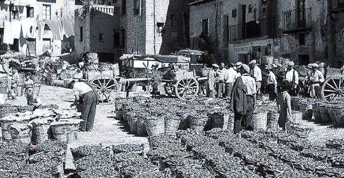 Gli agrigentini incontrano Agrigento