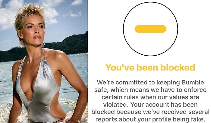 Sharon Stone si iscrive a sito di incontri ma le chiudono account