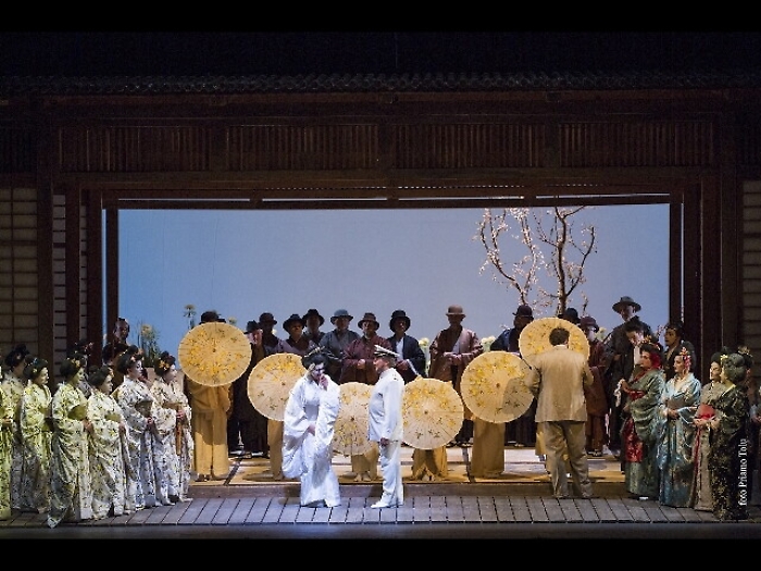 La magia di Butterfly ammalia Cagliari