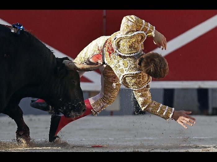 Francia: torero incornato ai glutei