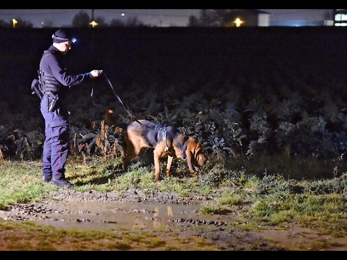 Cani molecolari per 16enne scomparsa