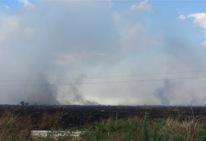 D&agrave; fuoco alle sterpaglie, piromane arrestato a Sciacca