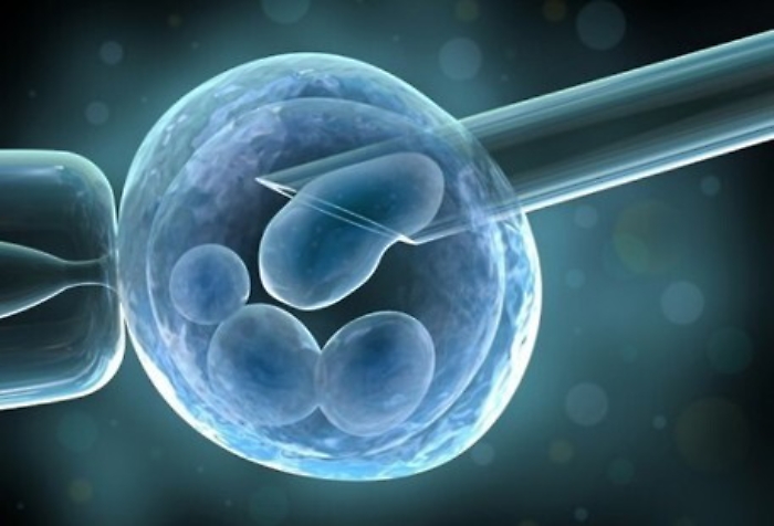 Maternit&agrave; surrogata, d&agrave; ovociti: &egrave; madre in stato civile