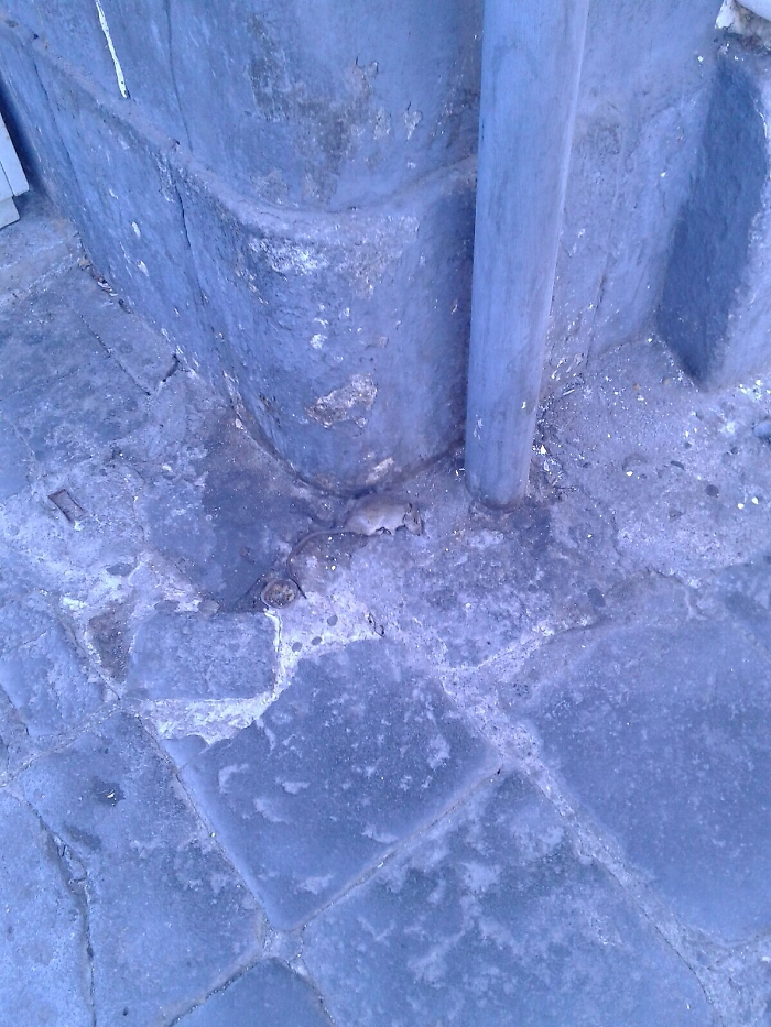 Catania, un topo... messo all'angolo tra via Etna e piazza Cavour