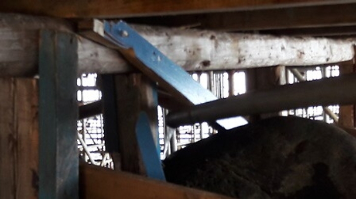 Acitrezza, bar scaricava i reflui direttamente a mare e tra i bagnanti