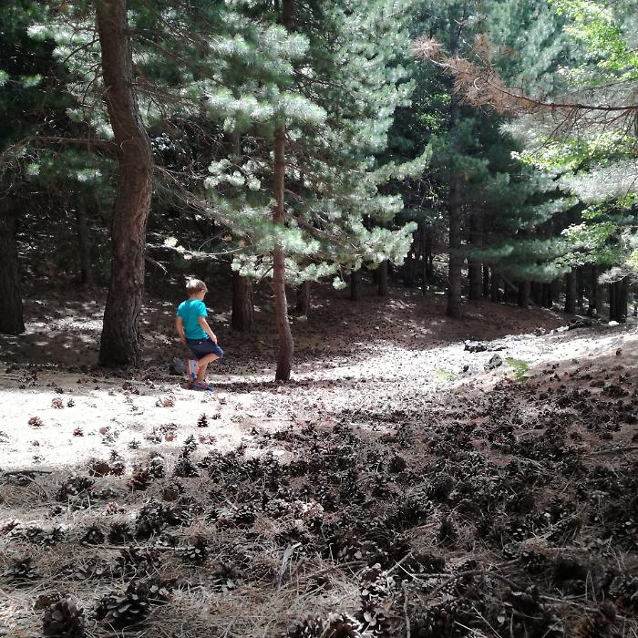 5 buone ragioni per amare la montagna d'estate