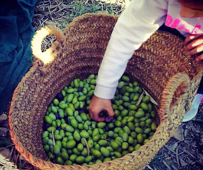 Domeniche in campagna