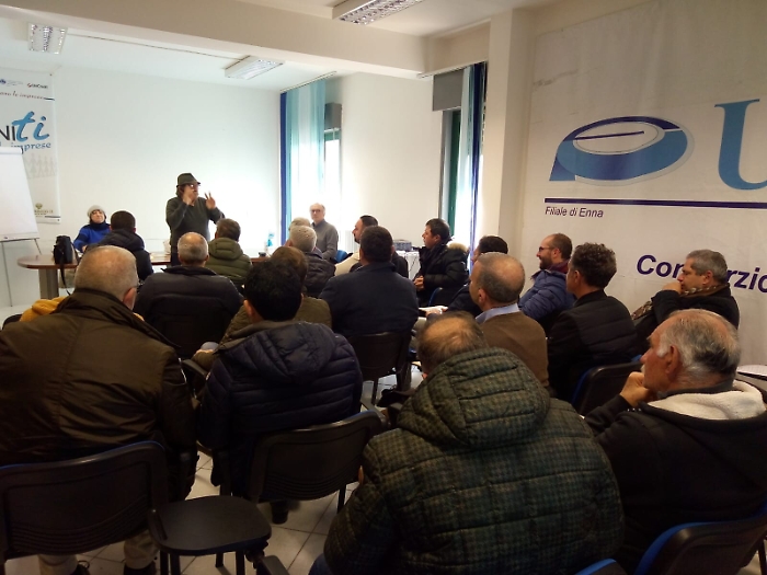 Frutta secca in Sicilia, un coordinamento per la valorizzazione