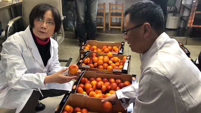 La siciliana Oranfrizer premiata per aver aperto alla Cina il mercato delle arance rosse
