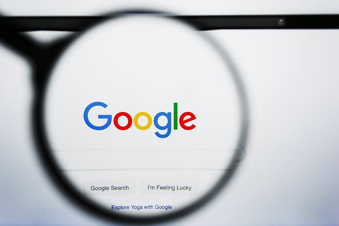 Da Nadia Toffa alle "sardine": ecco cosa ha cercato l'Italia su Google 