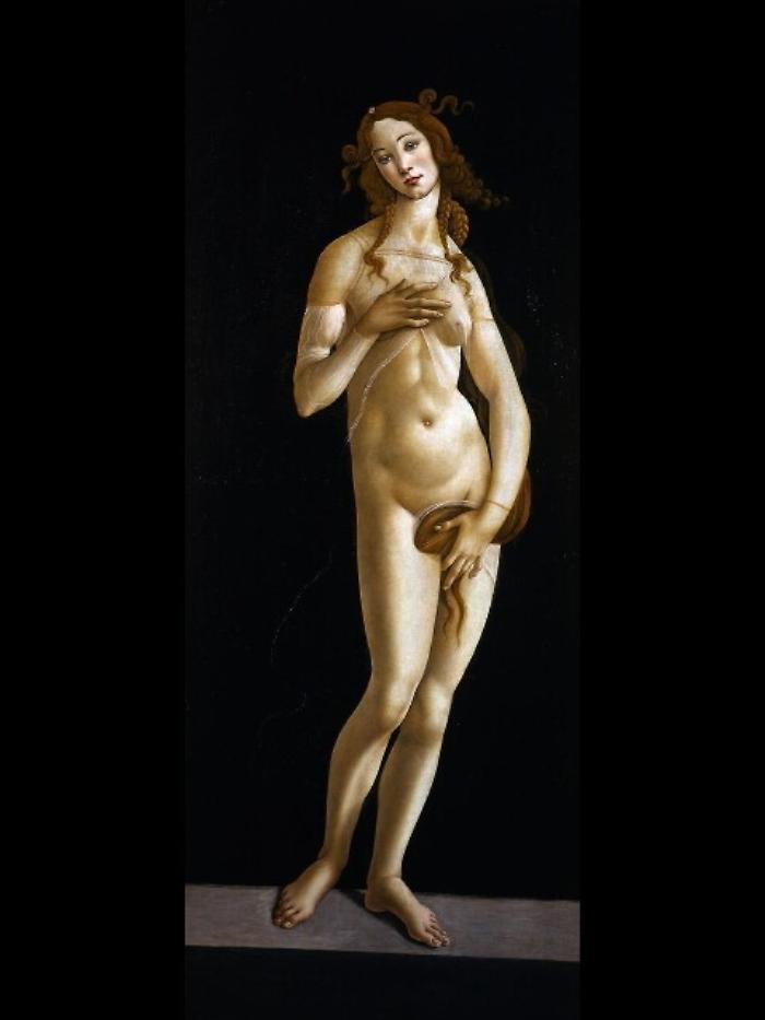Torna a Torino Venere del Botticelli