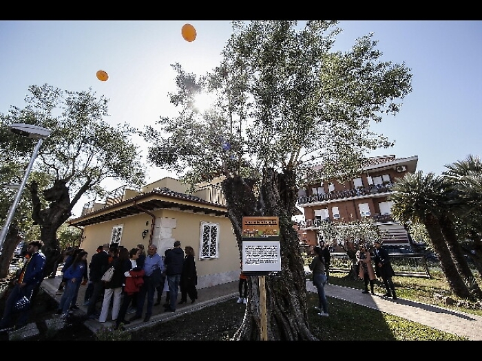Casamonica: blitz a Roma, perquisizioni