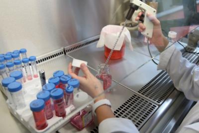 Farmaci: studio Italia-Usa getta basi per antidolorifici non narcotici