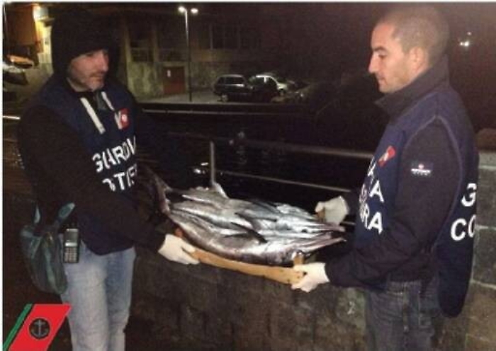 Aci Trezza, spadotti sottomisura sequestrati fuori dal mercato ittico