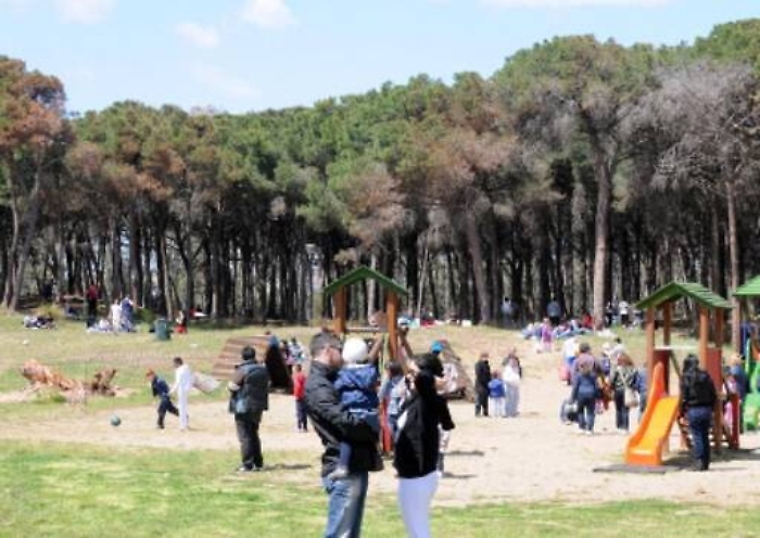 Catania, l’appello per salvare il boschetto della Plaia dai privati