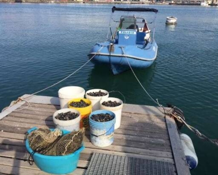 Catania, pescavano cozze all’interno del porto: multati