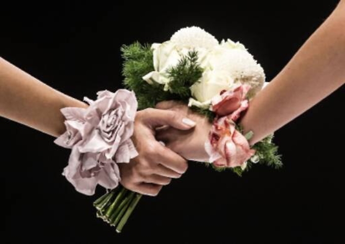 Coppia gay si separa: anche madre non biologica potrà vedere i figli