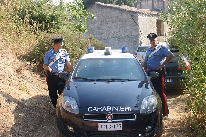 Cefalù, aggrediti dai cinghiali in campagna Un uomo è morto, ferita grave una donna
