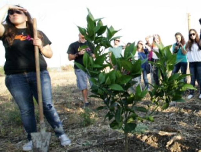 Ecco come vivere un’estate diversa sui campi e terreni confiscati alla mafia