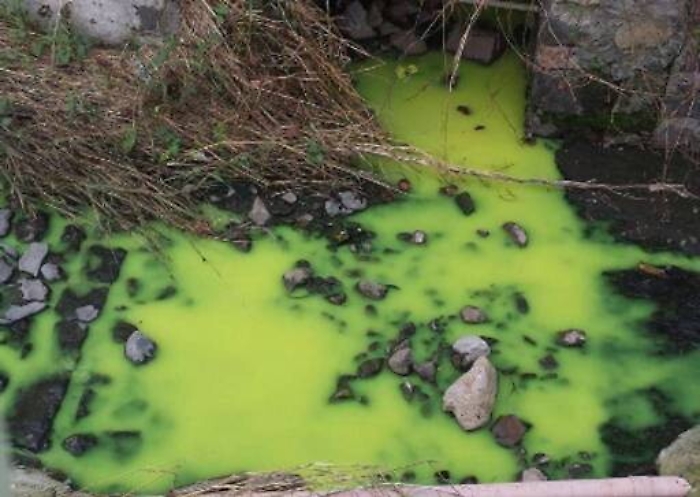 Giarre, torrente diventa verde: preoccupati gli abitanti della zona