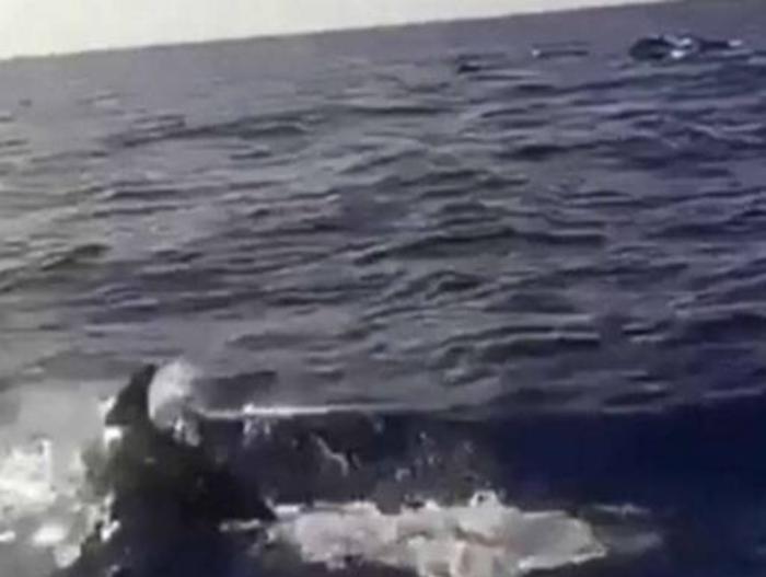 Barca affonda al largo di Portopalo: salvati i due pescatori a bordo