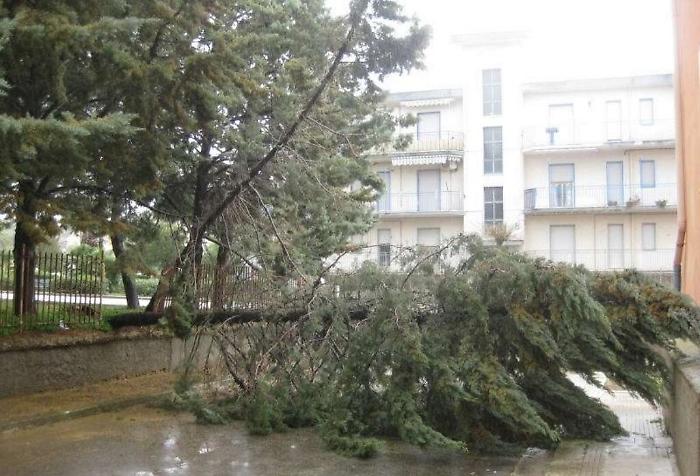 Il ciclone Harry in Sicilia, mercoled&igrave; 21 gennaio allerta gialla a Palermo: riaprono le scuole