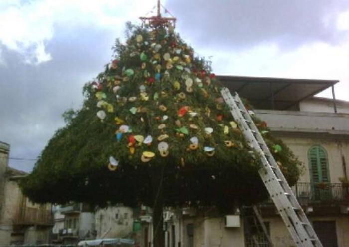 Messina, &egrave; grave un giovane caduto da albero della cuccagna