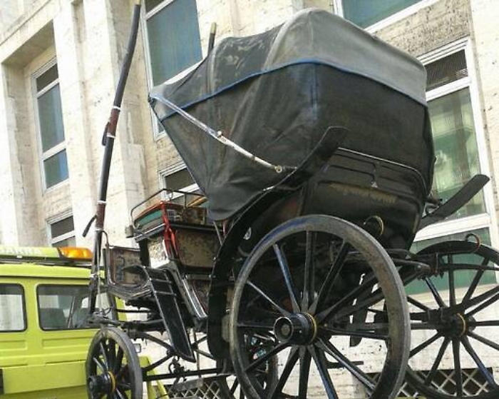 Palermo: cocchiere gira licenza, vigili gli sequestrano il calesse