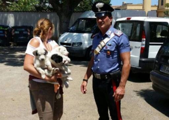 Tre cuccioli abbandonati nel traffico Recuperati e salvati dai carabinieri