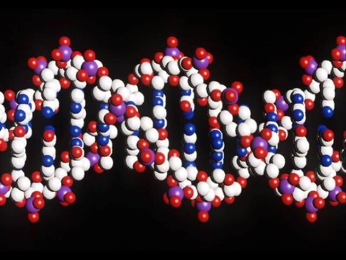 E' nato il primo bambino con il Dna di tre genitori