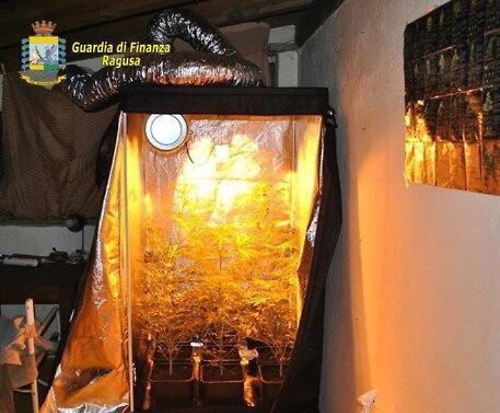Serre di droga nelle tende di campeggio in casa di un ragusano