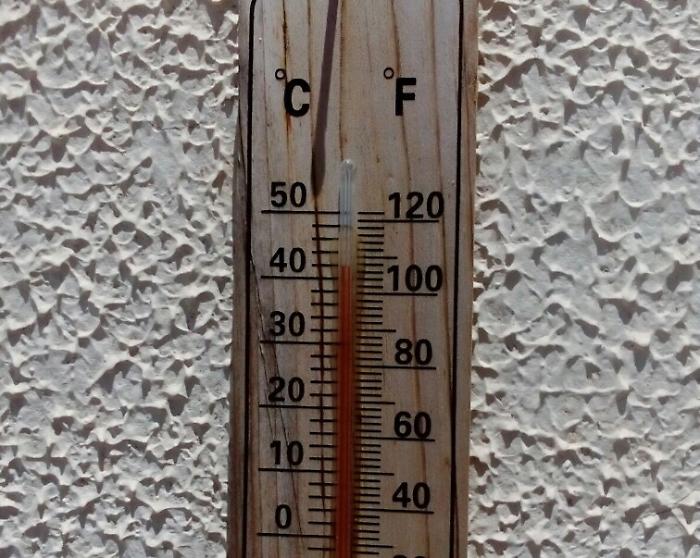 1498838290862_1498838398_1619445379576-1