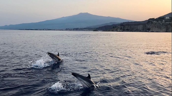 Show di delfini con vista sull'Etna,incanto per Taormina e i suoi turisti