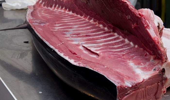 1531490029624_1531490041_1619447133776-2