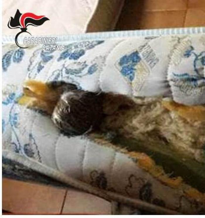 Catania, parcheggiatore e pusher per studenti universitari: arrestato