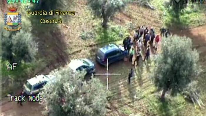 Agricoltura: CGIL, condizionare aiuti PAC a lavoro regolare