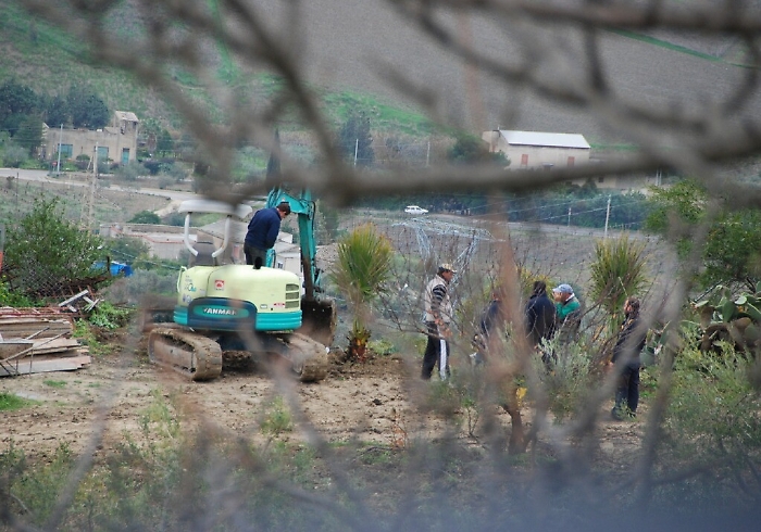 Agrigento, ex presidente D’Orsi condannato a un anno di carcere