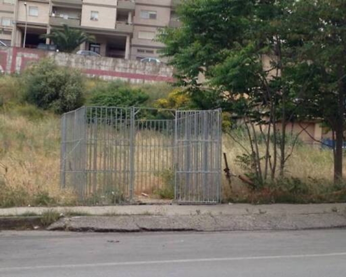 Caltanissetta, emergenza randagismo: altro caso inquietante